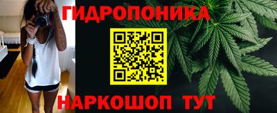 ешки Новозыбков