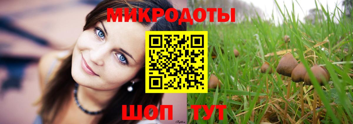 Галлюциногенные грибы ЛСД Обнинск